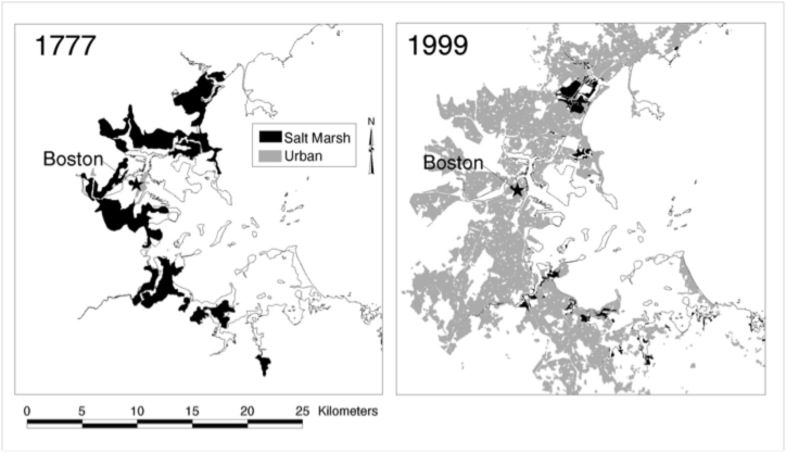 Historical ecology